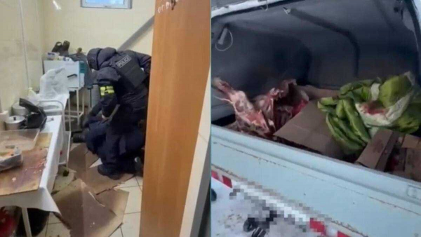 Похитил лошадей и обменял на авто: скотокрада задержали в ЗКО
Похитил лошадей и обменял на авто: скотокрада задержали в ЗКО