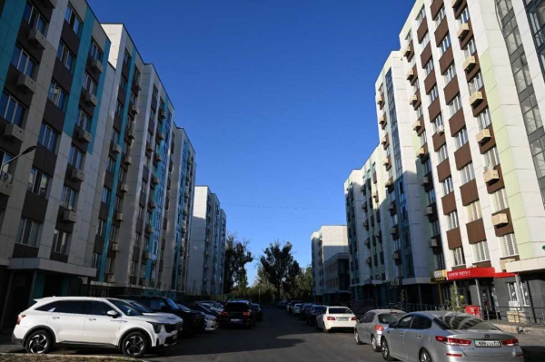 Почти 1400 заявителей получили отказ по программе «Алматы жастары»
Почти 1400 заявителей получили отказ по программе «Алматы жастары»