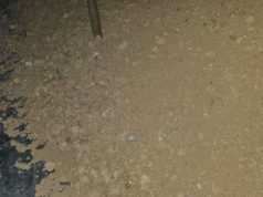 Незаконную добычу глины пресекли в Павлодарской области