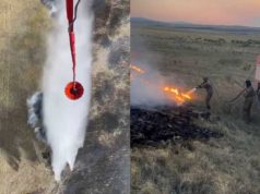 Около 800 человек и 160 единиц техники тушат природные пожары в Карагандинской области