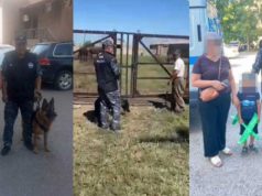 Служебные собаки помогли найти двух пропавших детей в Карагандинской области