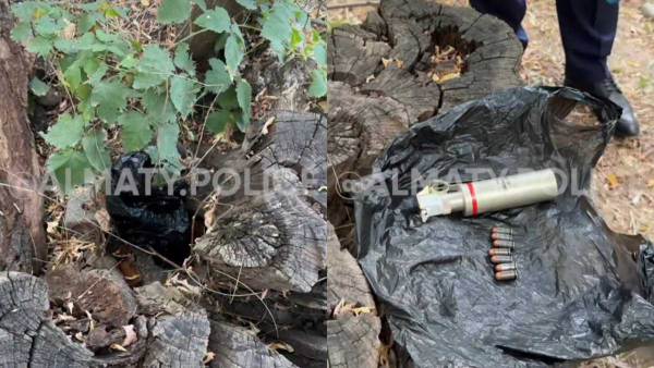 Пакет с боеприпасами нашли во дворе жилого дома в Алматы
Пакет с боеприпасами нашли во дворе жилого дома в Алматы