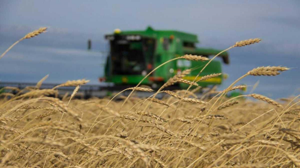 Уборочная кампания в Казахстане: аграрии намолотили 7,7 млн тонн зерна
Уборочная кампания в Казахстане: аграрии намолотили 7,7 млн тонн зерна