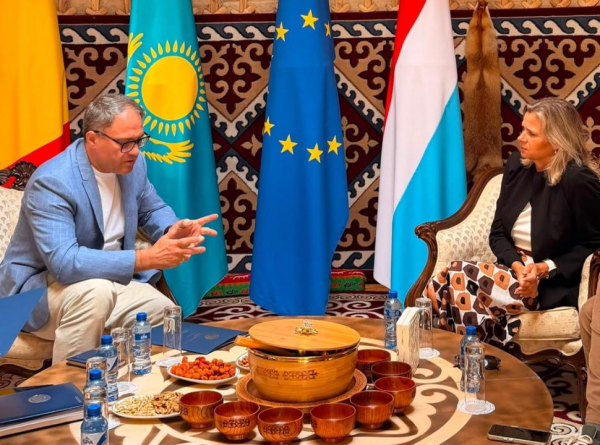 Бельгиялық депутат Құрылтай сайлауын бақылауға келеді