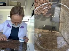 Более 113 тонн заражённой сельхозпродукции не пустили на рынок Казахстана
