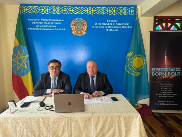 ДР Конго Қазақстанның ЖИ саласындағы тәжірибесіне қызығушылық танытты