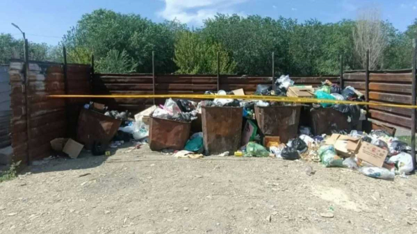 Мать младенца, найденного в мусорном контейнере, установили в Жамбылской области
Мать младенца, найденного в мусорном контейнере, установили в Жамбылской области