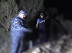 23 туши и 46 рогов: четырёх подозреваемых в браконьерстве задержали в Улытауской области