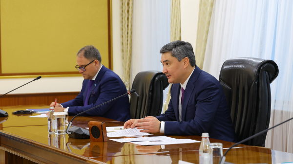 Қазақстан цифрлық кеден мен жедел транзитке басымдық беріп отыр