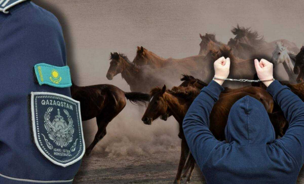 Серия краж скота раскрыта в ЗКО: ущерб составил около 5,5 млн тенге
Серия краж скота раскрыта в ЗКО: ущерб составил около 5,5 млн тенге